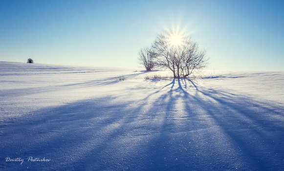 The play of light and shadow.