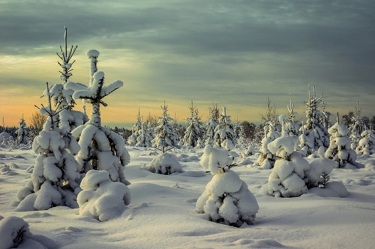 Winter vremechko ...