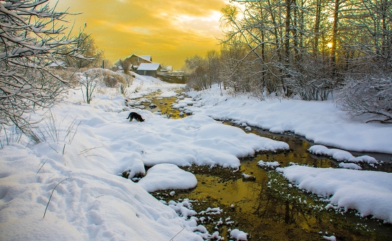 Gold River