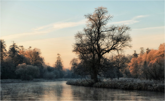 ... Frosty morning ...