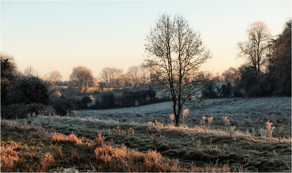 ...morning scape...