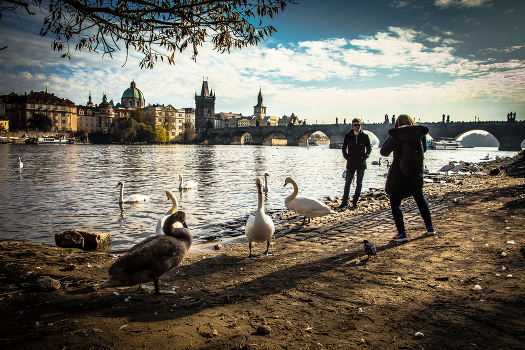 Karlsbrücke.