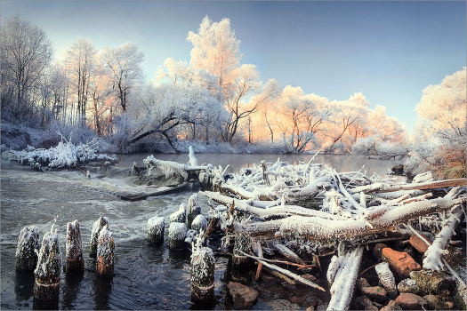 Winter freshness