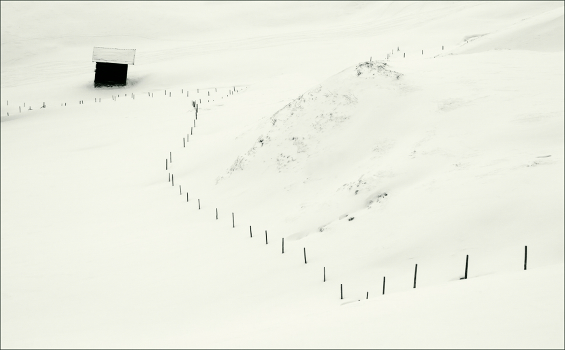 Alone, all alone