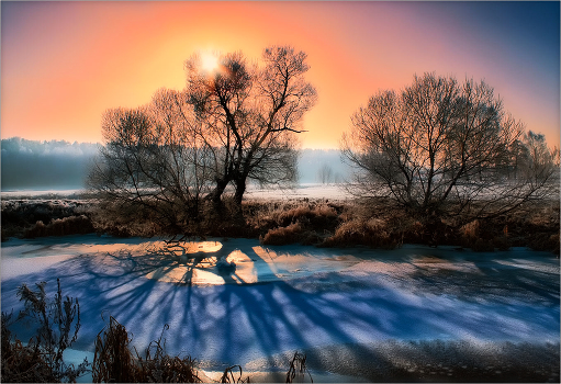 Landscape in December