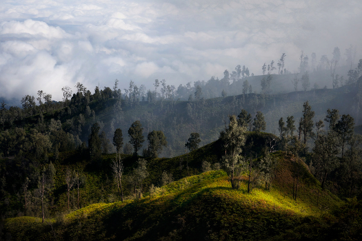 On the hillside