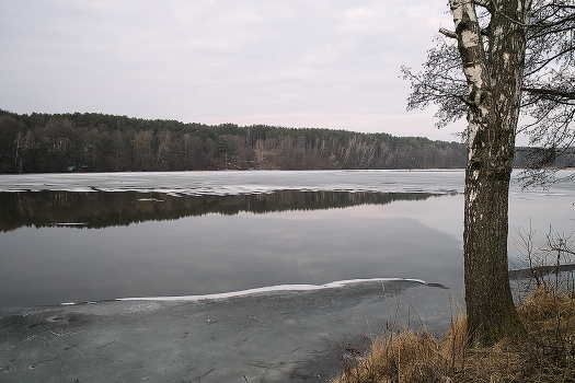 This Spring