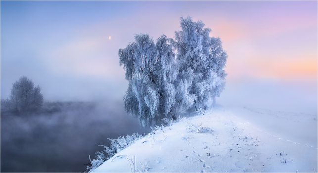 Birth of dawn