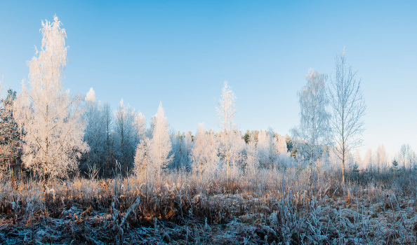 ***