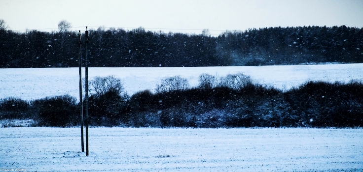 Blizzard