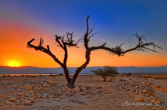 Sunrise in the desert