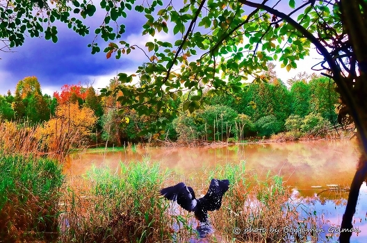 Autumn in a quiet backwater