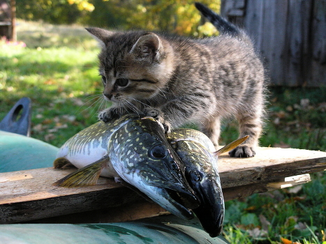 After fishing