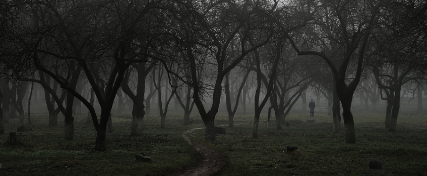 alone in the mistwood