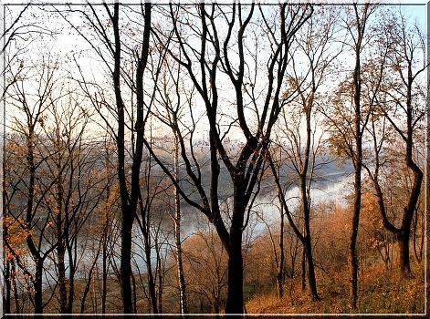Vitebsk autumn ...