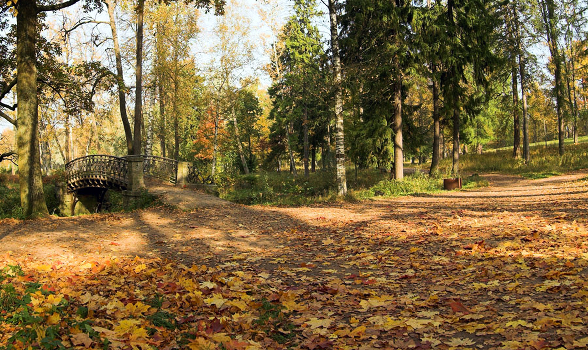 Fall track ...