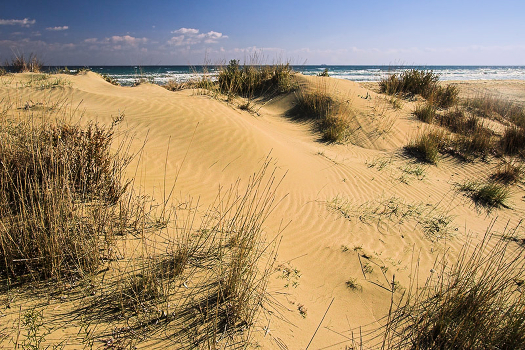 dune