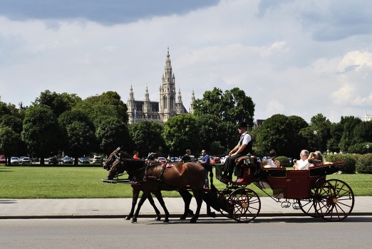 Vienna waits for you