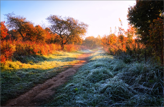 Autumn morning