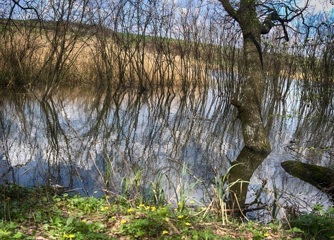 Backwater