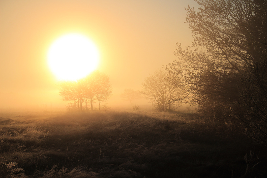 May morning