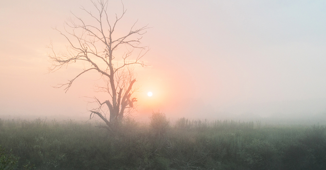Dawn