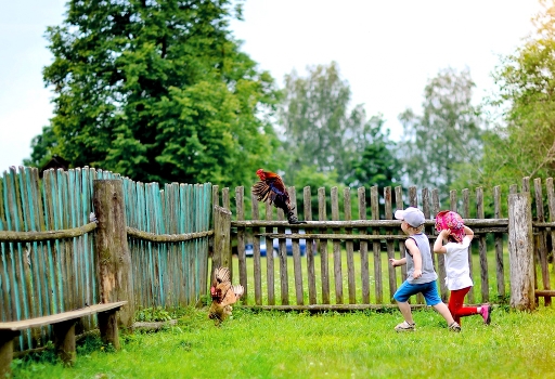 Children in the village