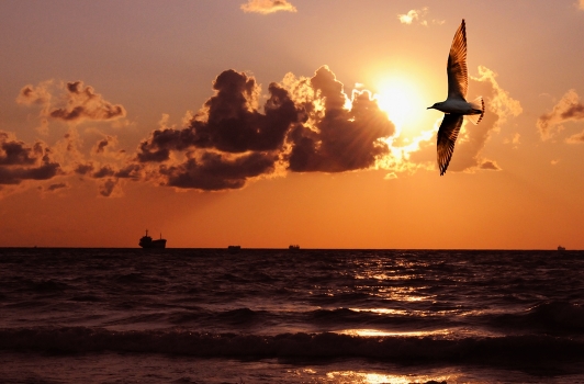 Evening flight.