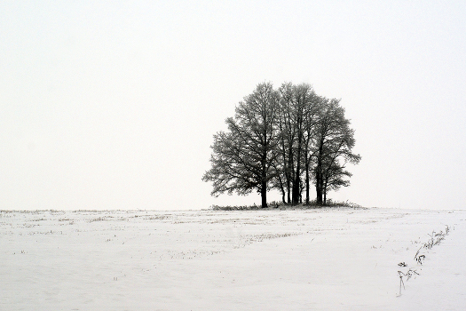 February.