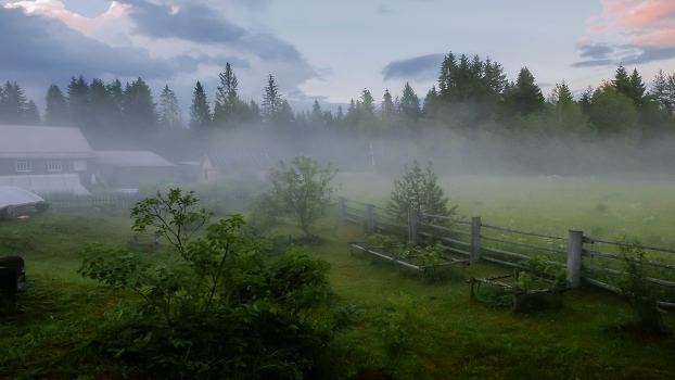 Evening fog after rain ...