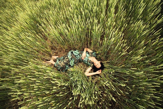 sleep in wheat