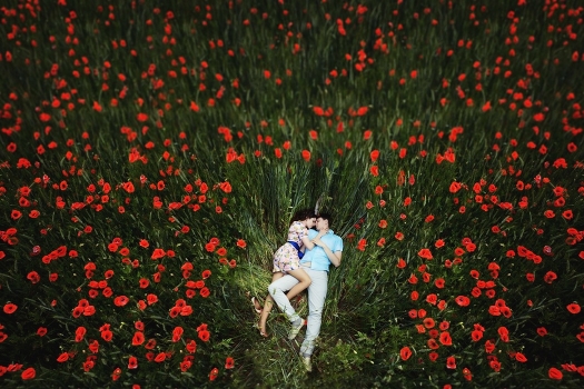 Poppies
