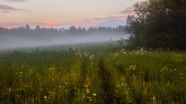 Fog after the rain ...