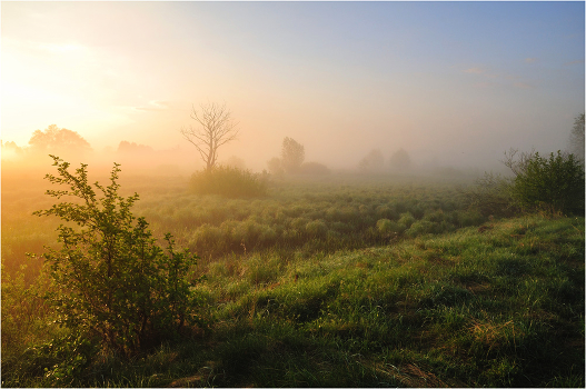 Wake up to the valley
