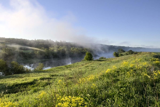 Morning fog