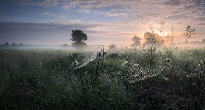 The sun bathed in the dawn mist