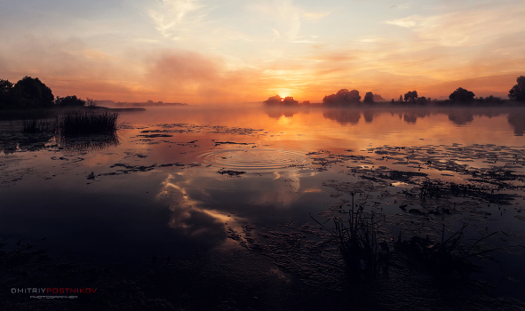 Misty dawn.