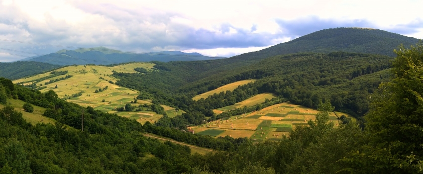 Carpathian meadows