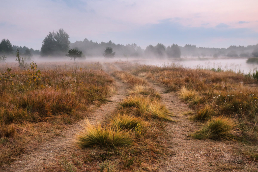 Morning on Schara