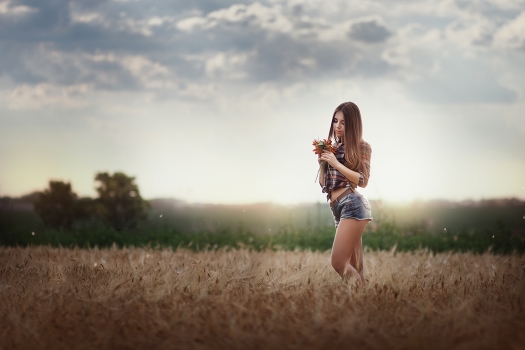 Simply field