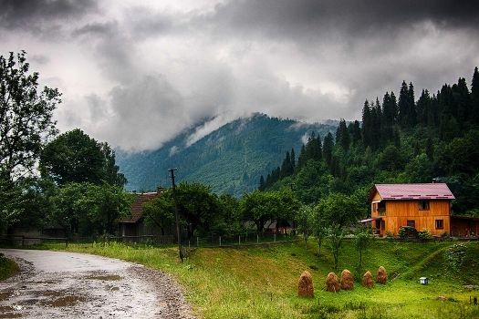 After the rain