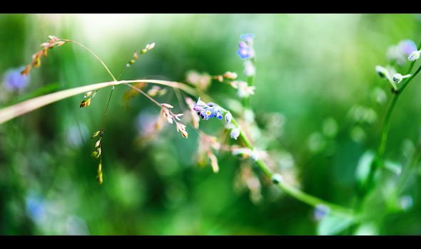 Sine.