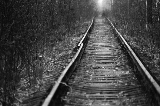 Road to Life