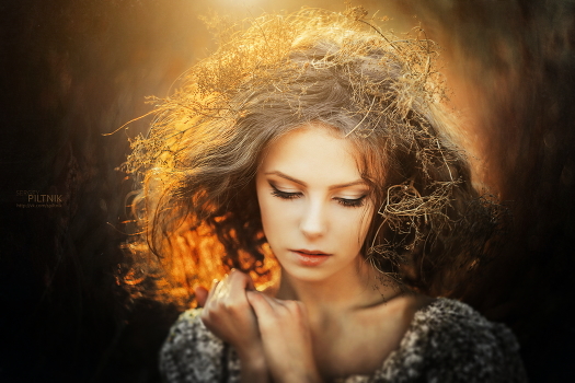 Daydream