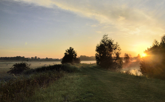 A summer morning.