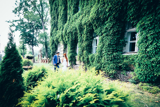 Walk