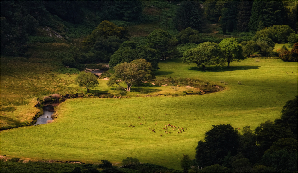 ... paradise ...