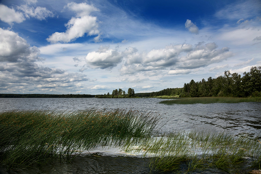 On the lake. Kirety