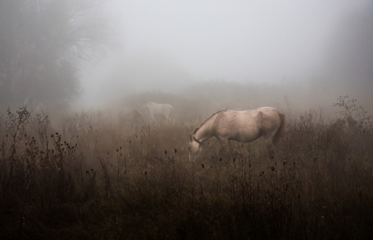 In the valley of rest