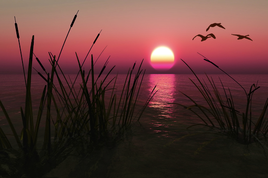 Flying migratory birds ...